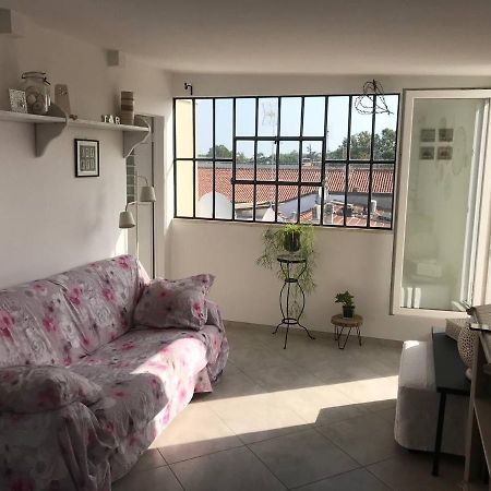 B&B Rooftop51 Rimini Dış mekan fotoğraf
