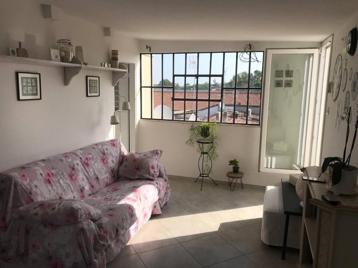 B&B Rooftop51 Rimini Dış mekan fotoğraf